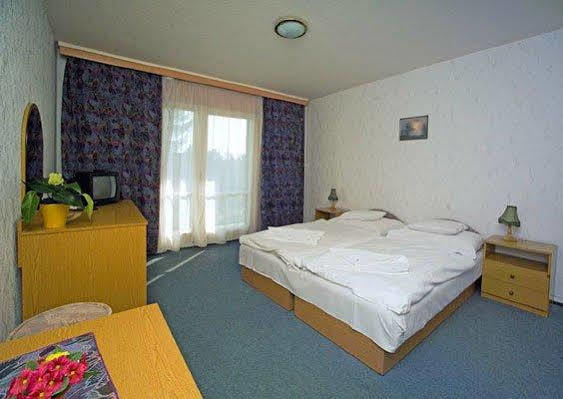 Solaris Hotel Balatonföldvár Rum bild